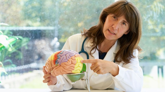 Doctora enseñando el cerebro