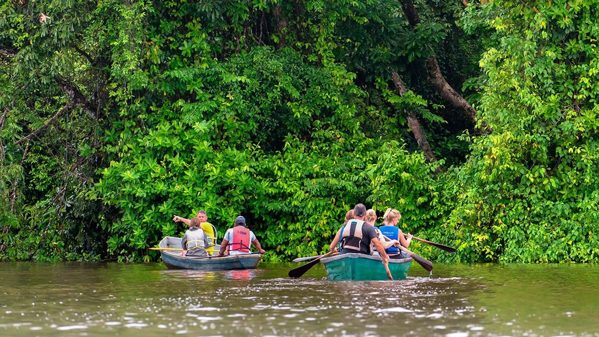 Tortuguero, el reino caribeño de las tortugas en Costa Rica