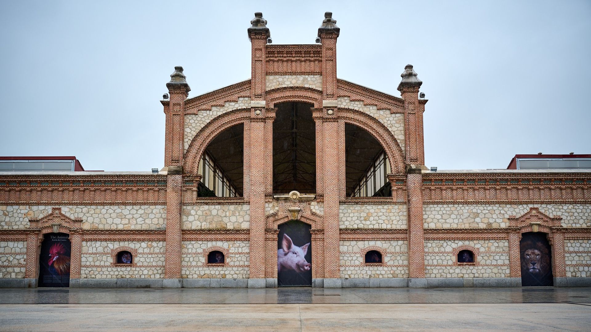 Exposición The Animals en Matadero Madrid