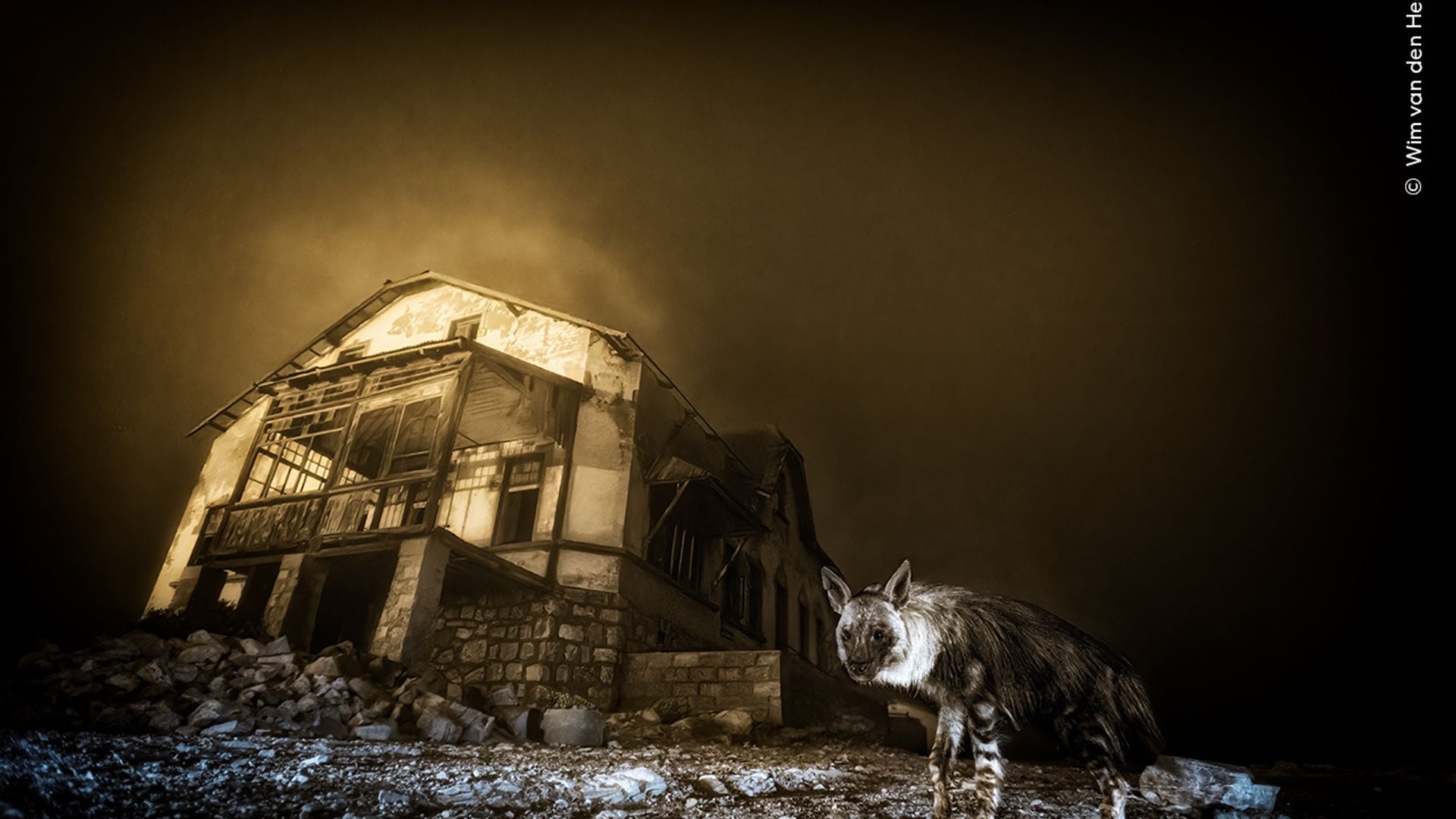 Ghost Town Visitor by Wim van den Heever, South Africa