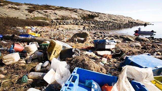 contaminacion mares