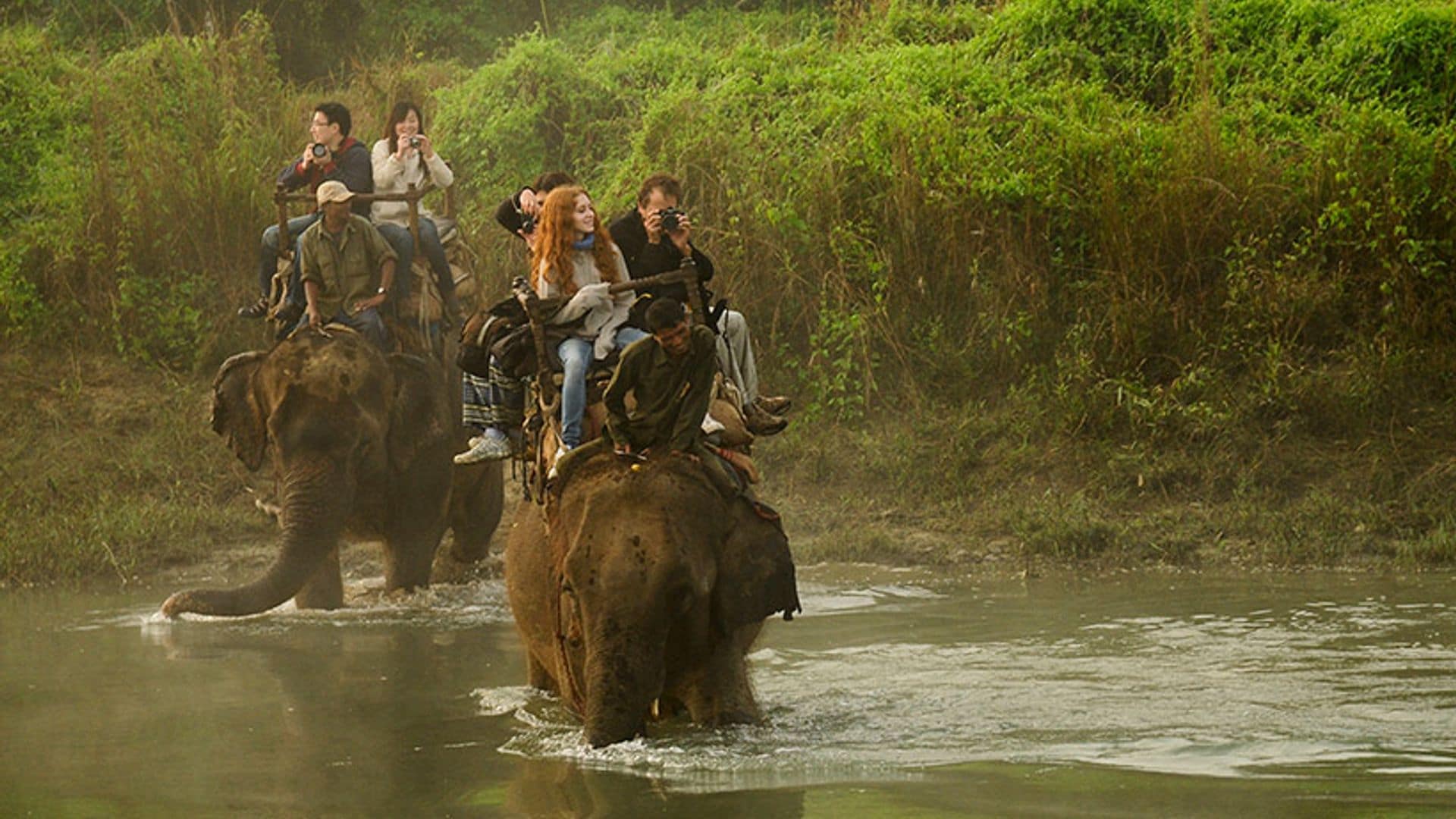 ¿Y un safari en elefante por la selva de Nepal?