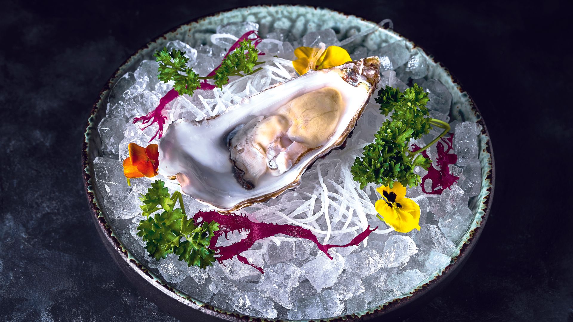 Oyster Bar en Madrid Quintoelemento
