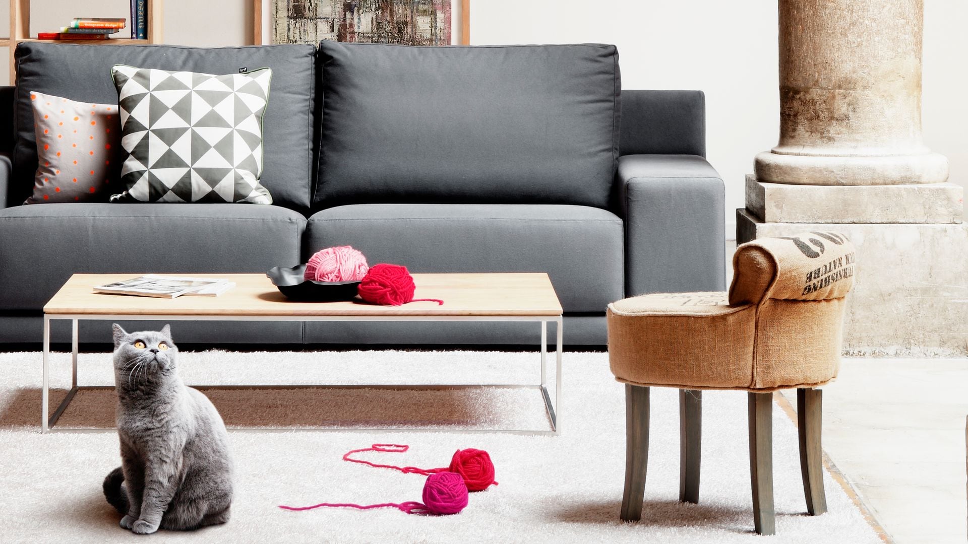 Así puedes hacer que tu casa sea un auténtico hogar 'pet-friendly': 12 ideas claves
