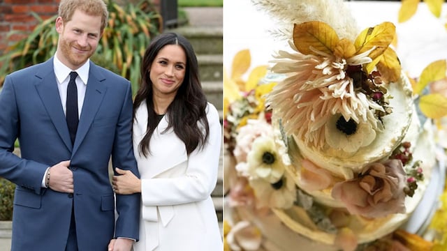 harry meghan pastel