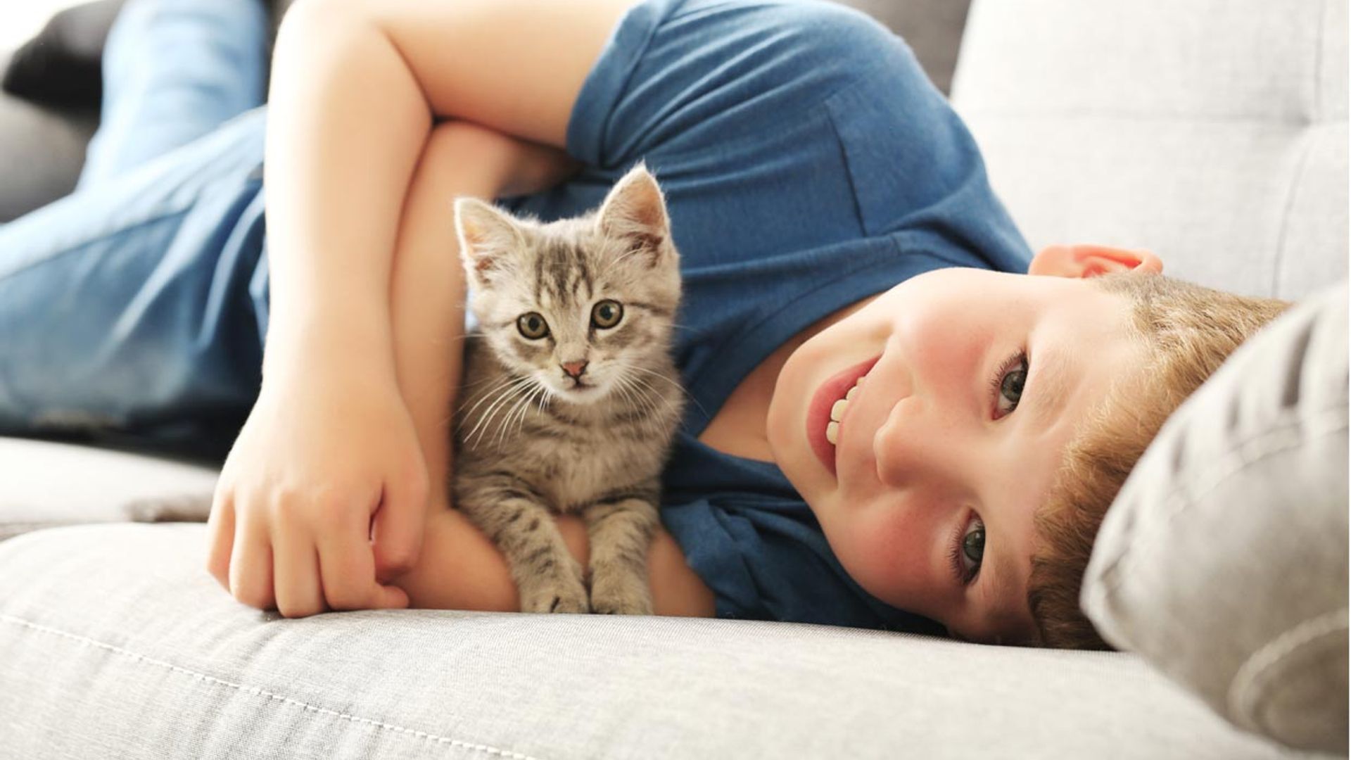 ¿Cuáles son las mejores razas de gato para convivir con niños?