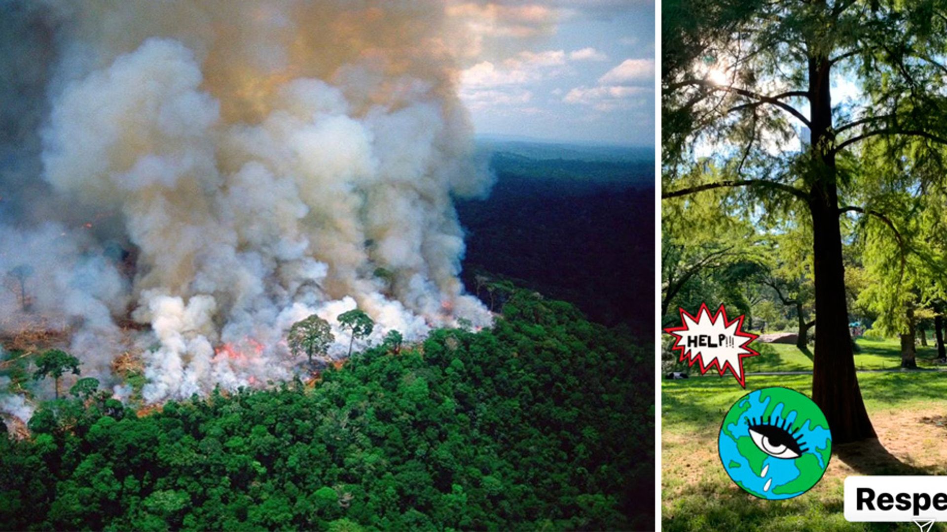 Incendios en Amazonas preocupan a las celebridades y buscan acciones a favor del medio ambiente