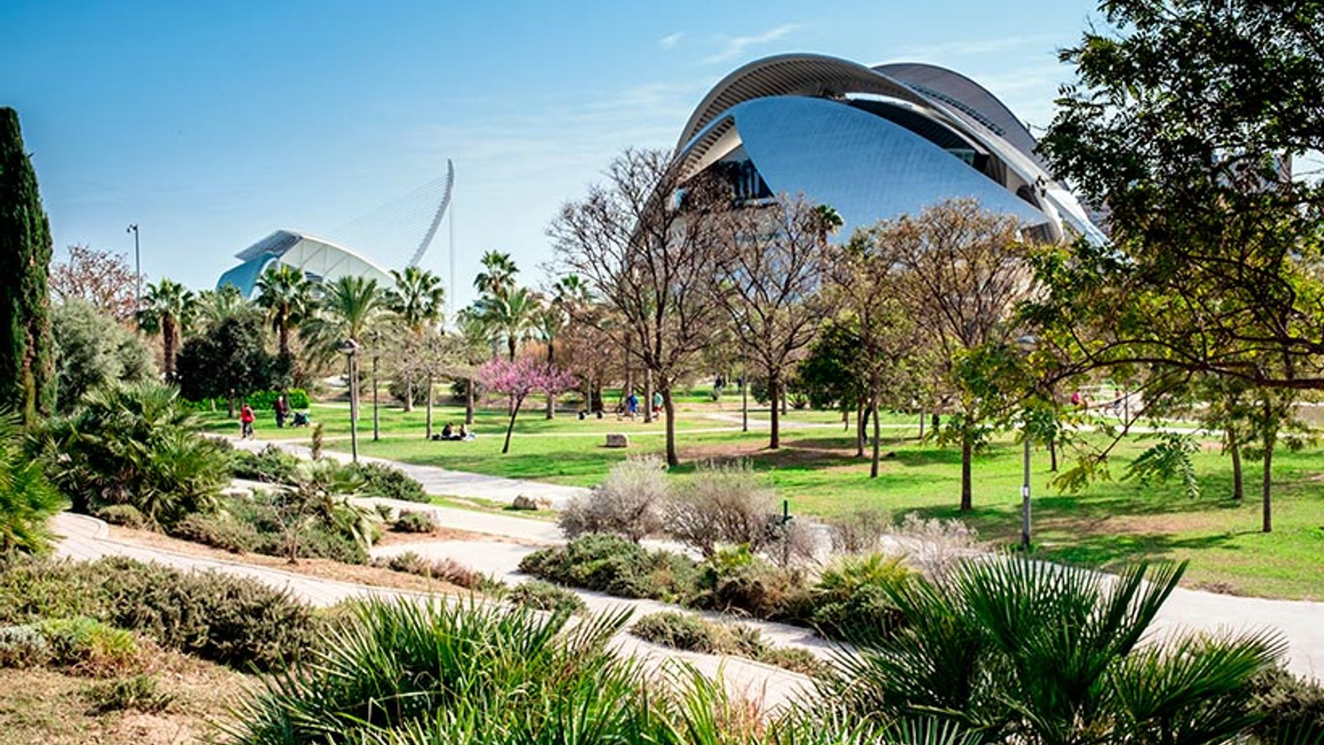 Qué hacer en la Ciudad de las Artes y las Ciencias de Valencia