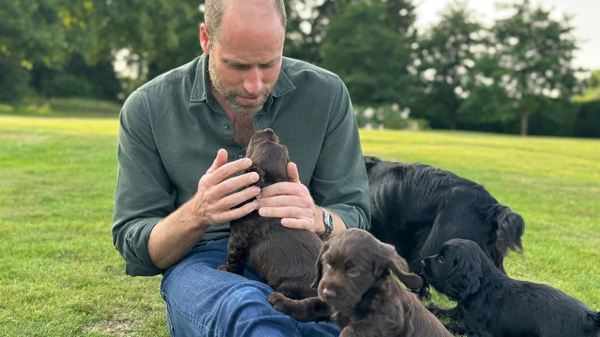 Kate Middleton y sus hijos felicitan al príncipe Guillermo: el verdadero significado de la imagen atípica que han elegido