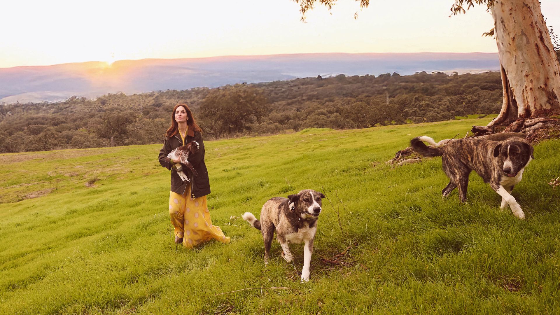 Eugenia Silva caminando en un campo con sus perros al celebrar con  "¡HOLA!" sus fabulosos 50 años en su casa de campo de Extremadura