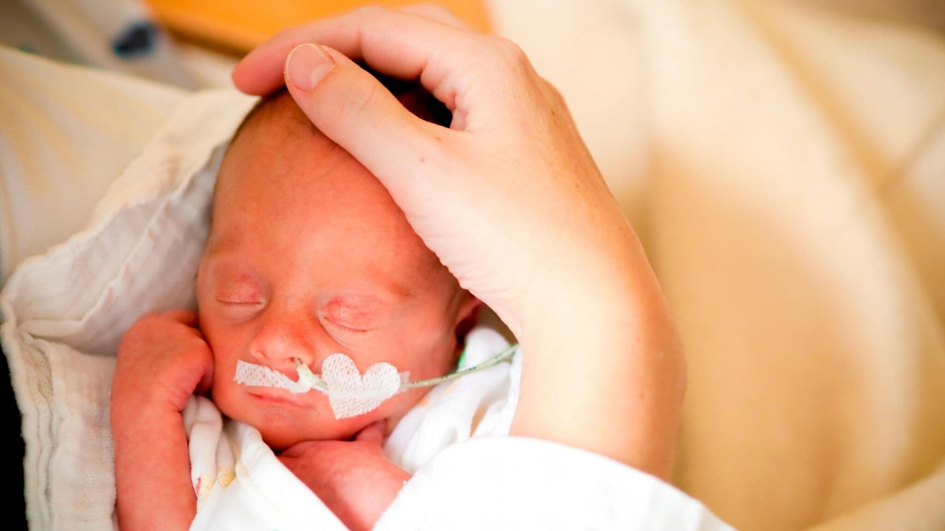 ‘Separación cero’, una llave de oro para la supervivencia de los bebés prematuros