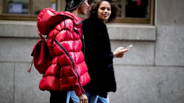 plumiferos tendencia