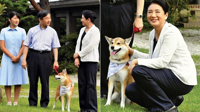 masako