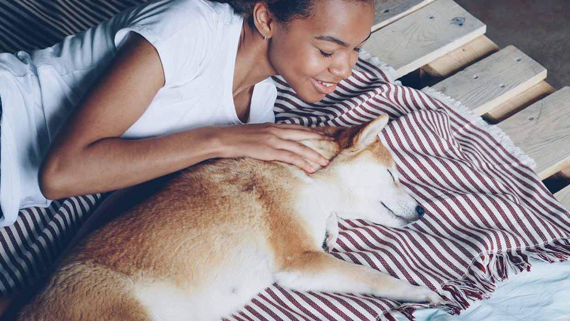 Elige la oreja adecuada para hablar a tu perro (cada una tiene una función)