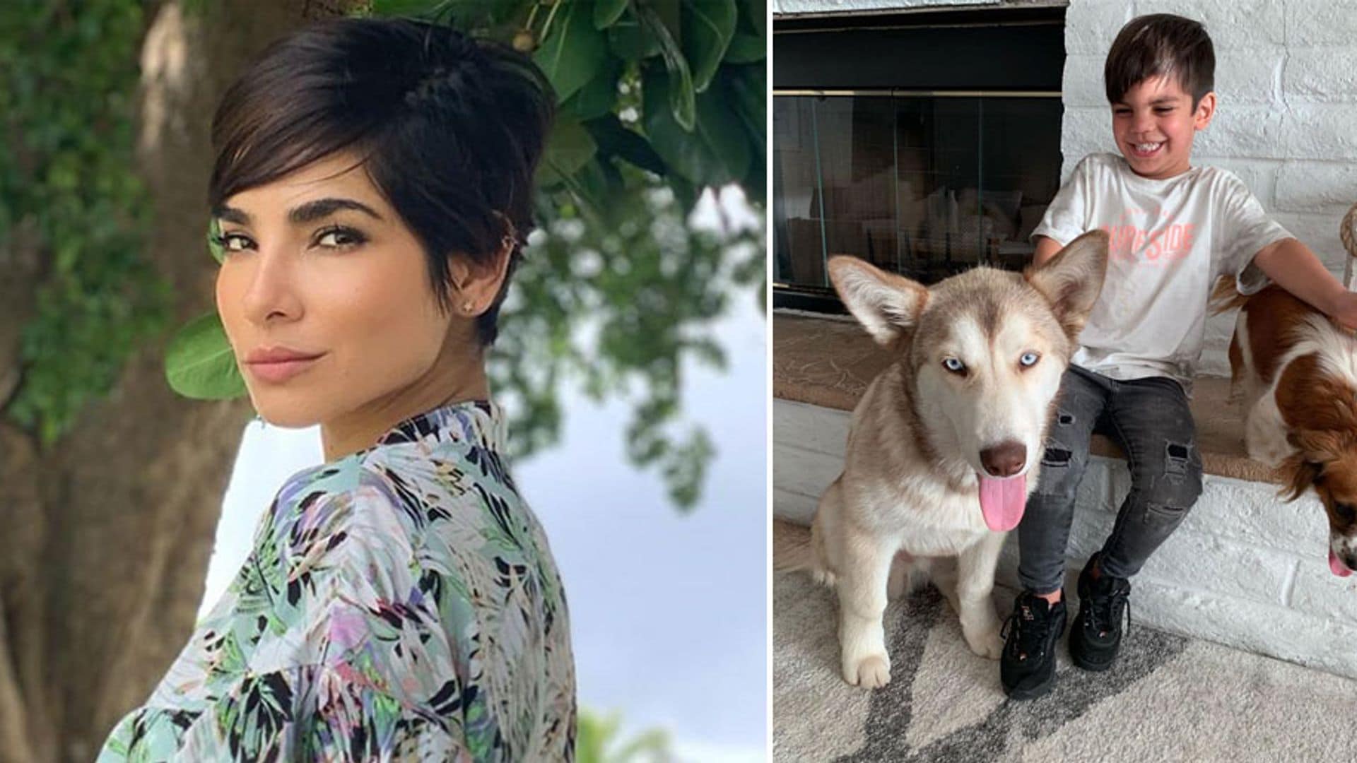 Alejandra Espinoza pidió ayuda a sus fans para encontrar a su mascota, ¡y fue un éxito!