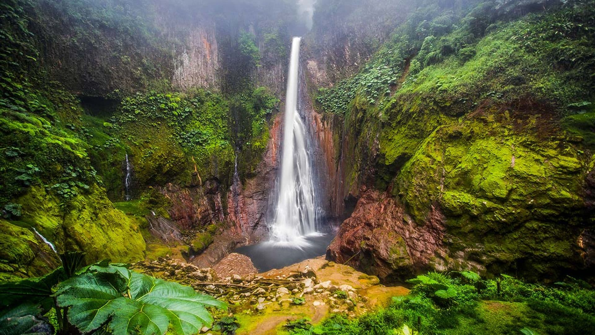 Cascadas increíbles en la naturaleza de Costa Rica