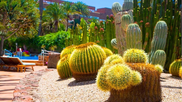 jardin sostenible