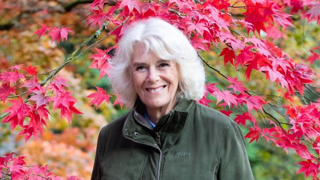 camilla getty p