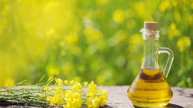 aceite colza