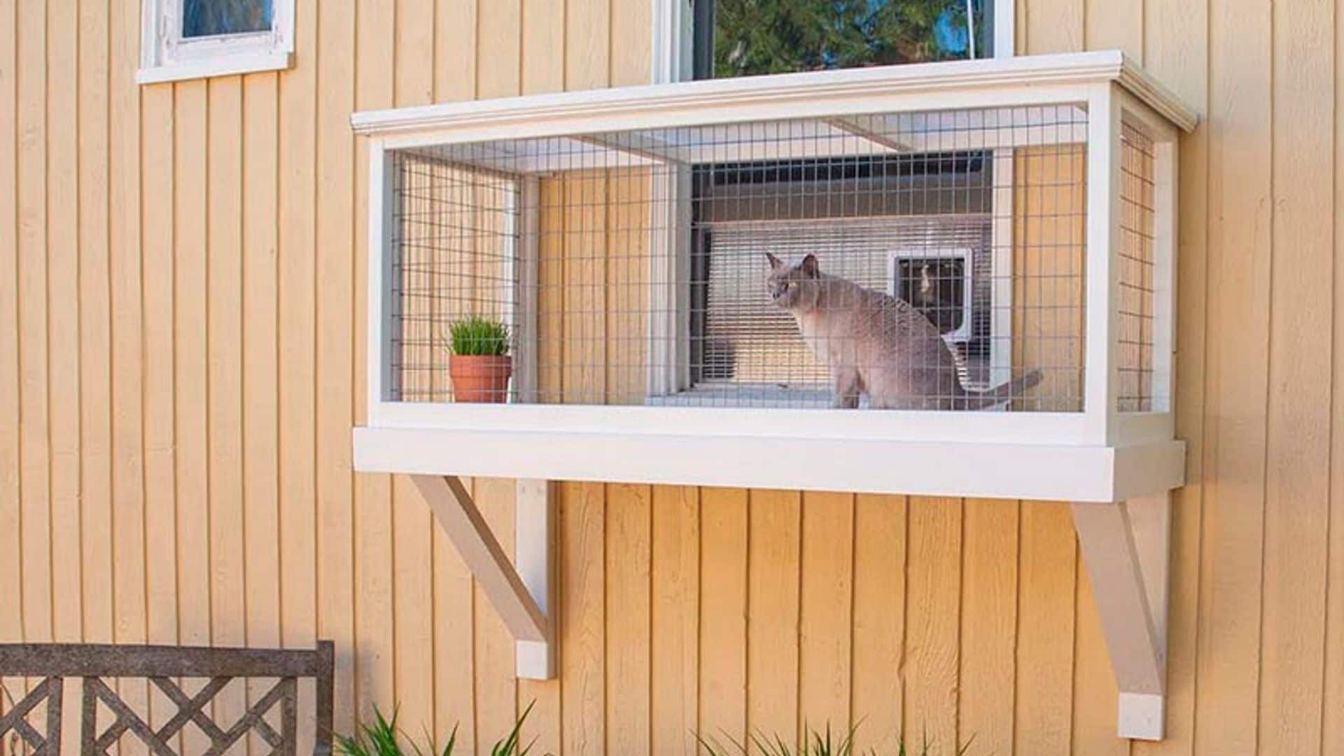 Existen los patios para gatos y se llaman catios