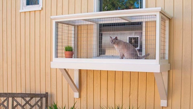 patiosgatos