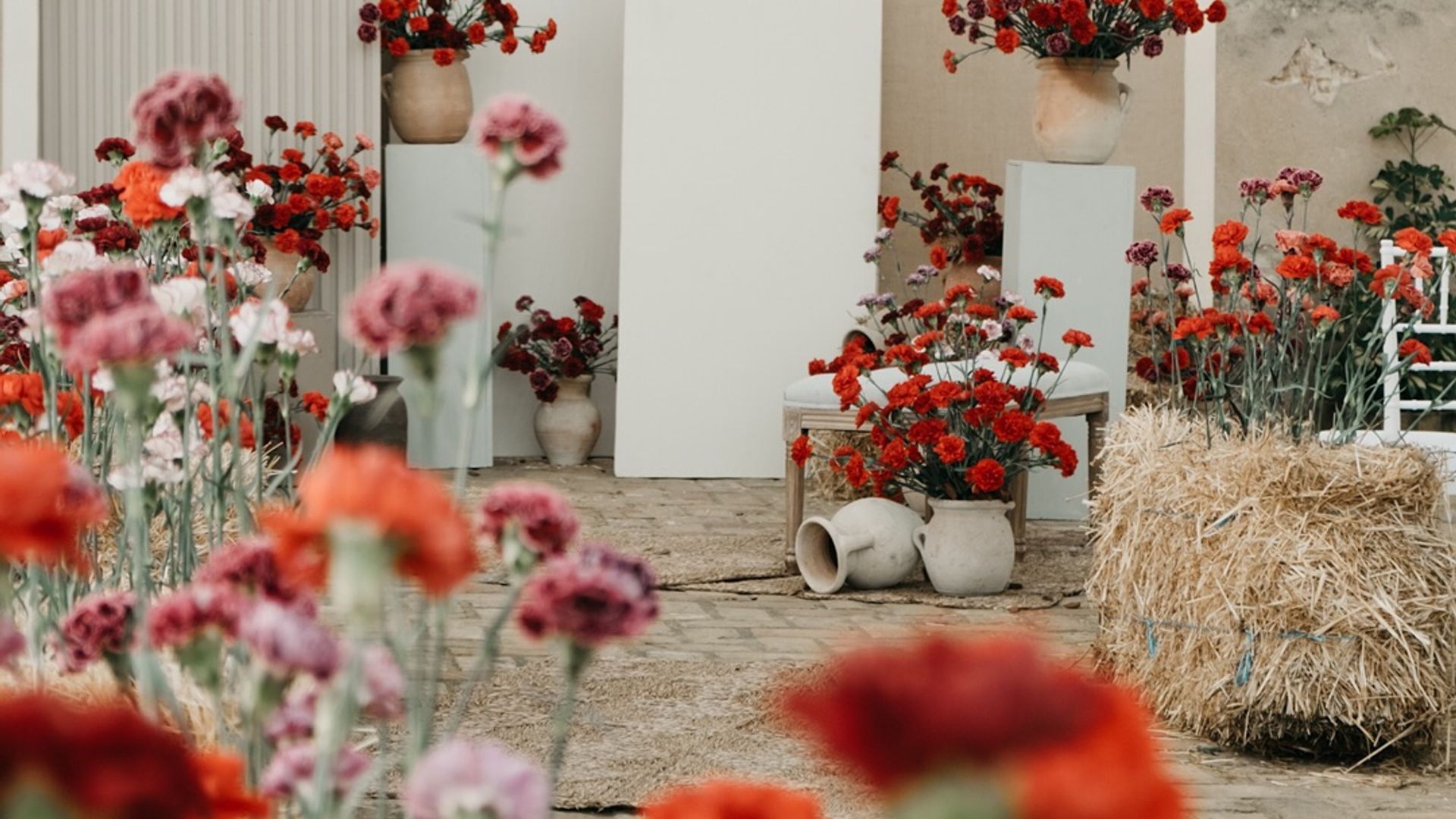 Decoración de bodas con claveles: los trucos para incorporar esta flor duradera, económica y vistosa a los montajes