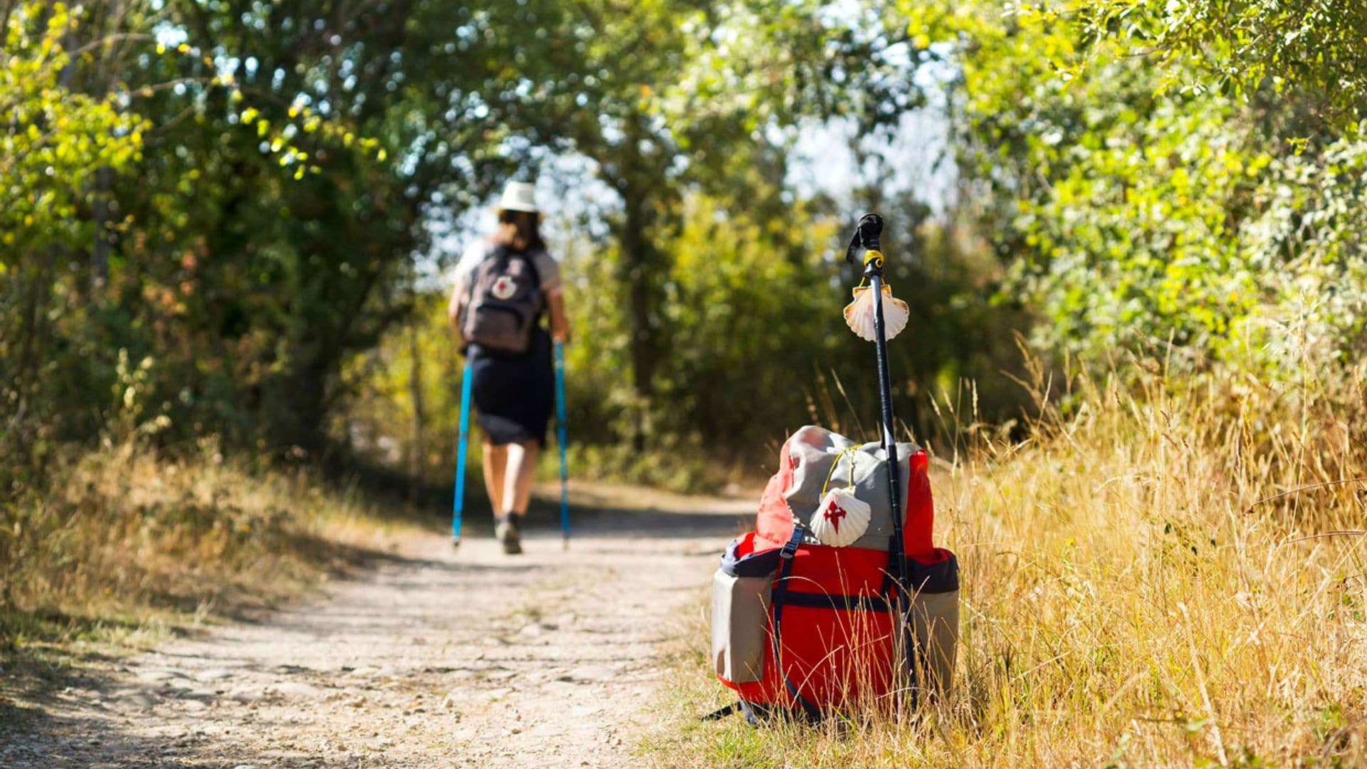 Todo lo que tienes que saber para hacer el Camino de Santiago Francés 