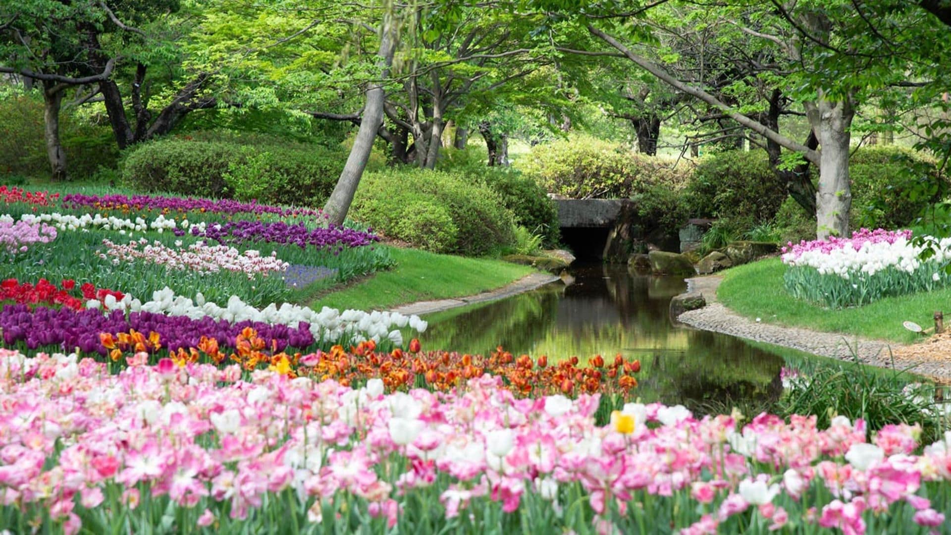 Así se diseña un jardín con flores sin aumentar el tiempo en el cuidado de las plantas