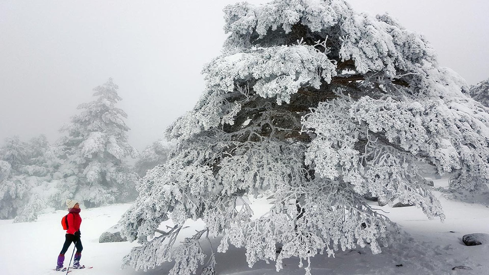 Excursión por la sierra de Guadarrama con raquetas de nieve