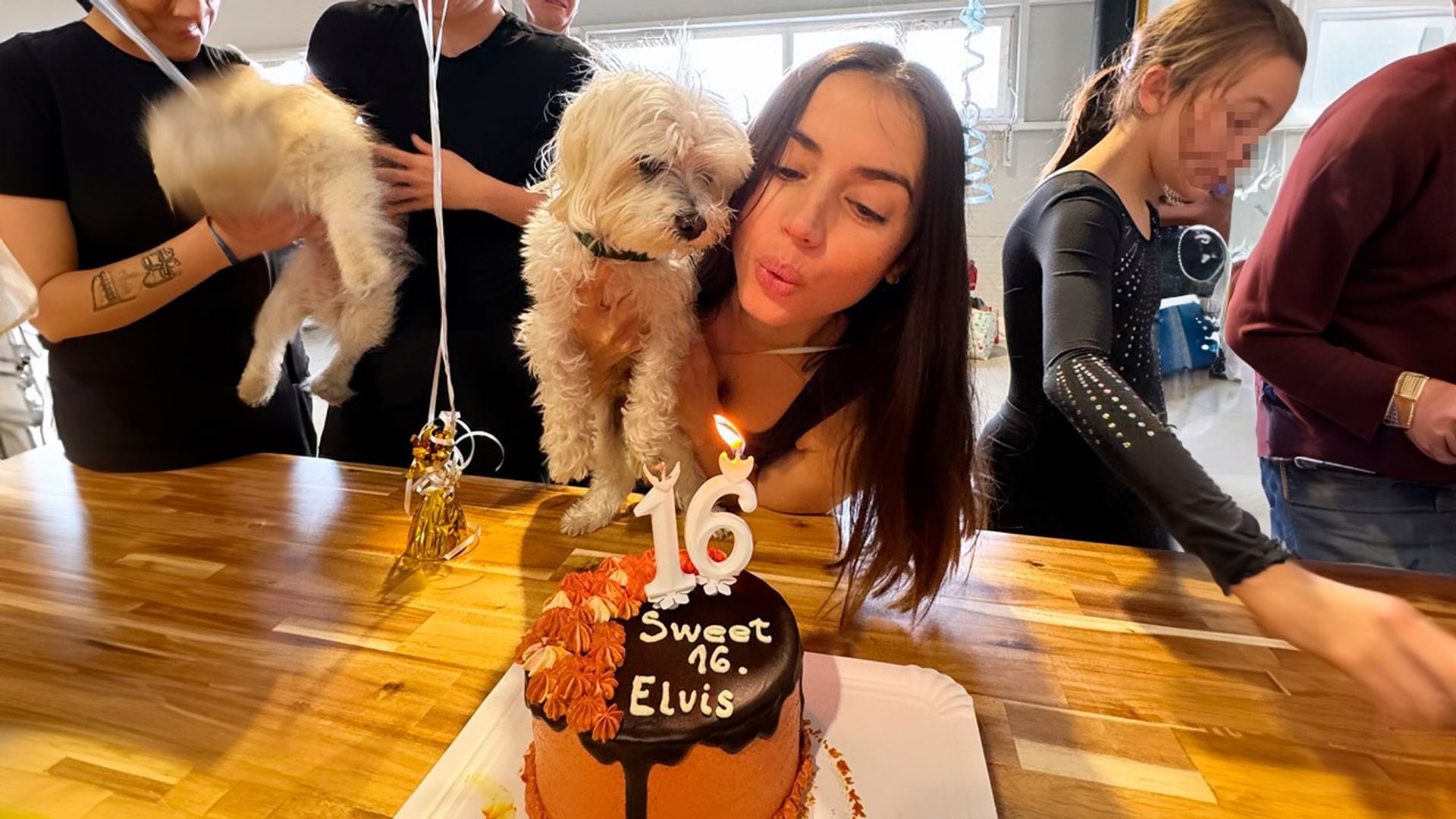 No te pierdas el divertido cumpleaños que Ana de Armas le ha preparado a su perro durante el rodaje de 'Ballerina'