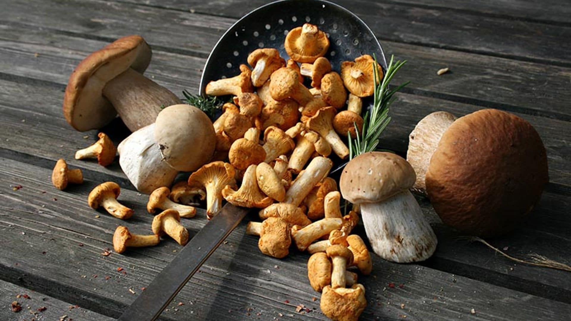 setasproteinanatural