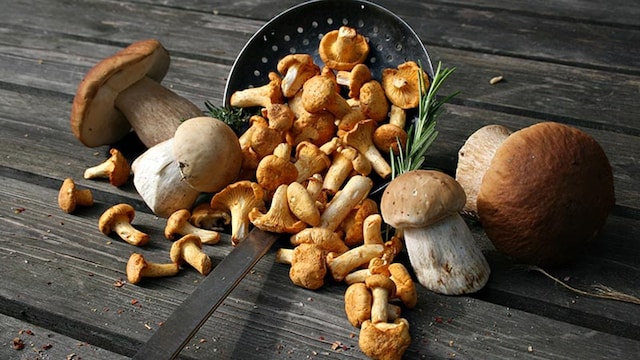 setasproteinanatural