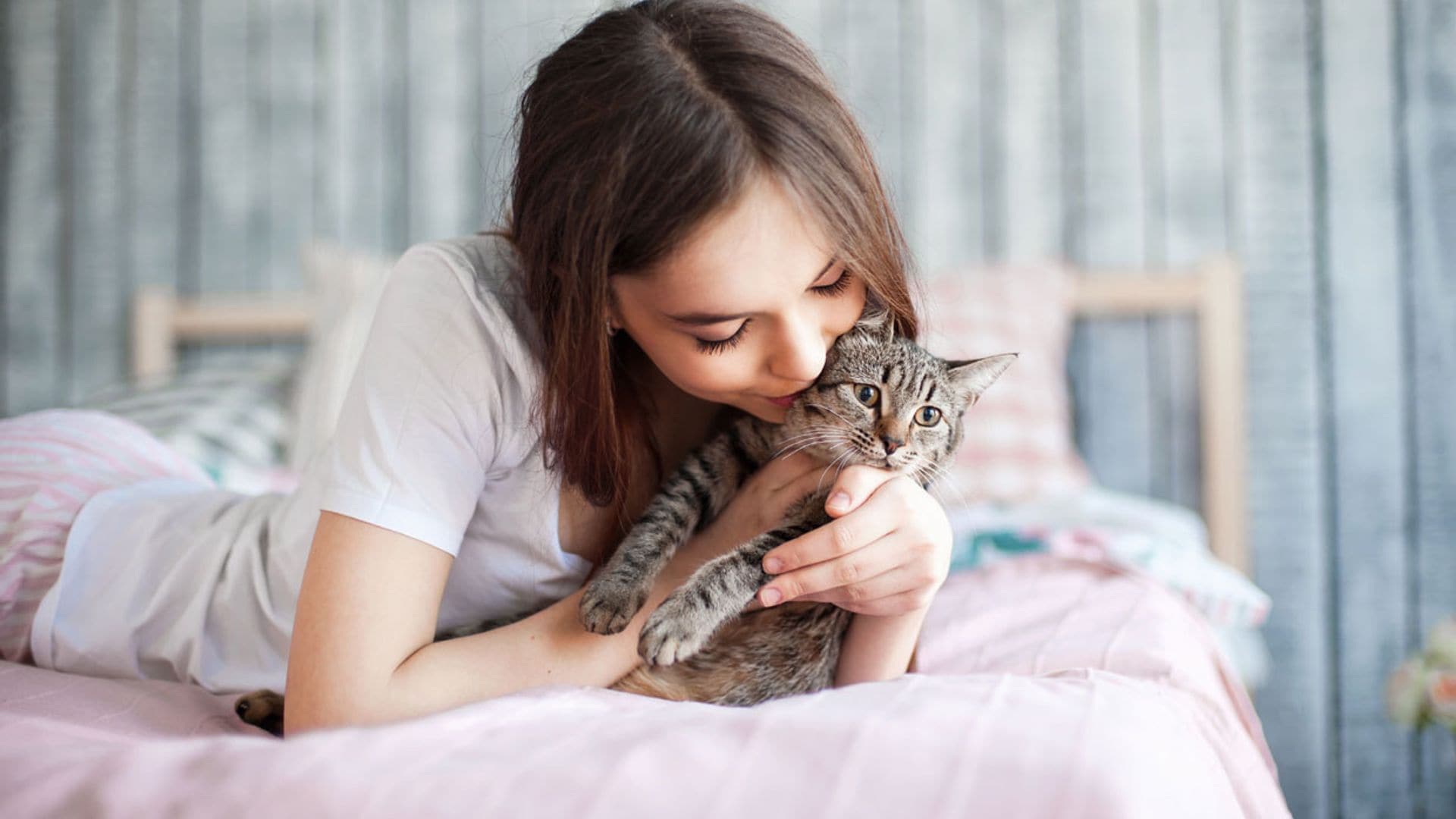 ¿Cómo te dice tu gato que está enfermo?