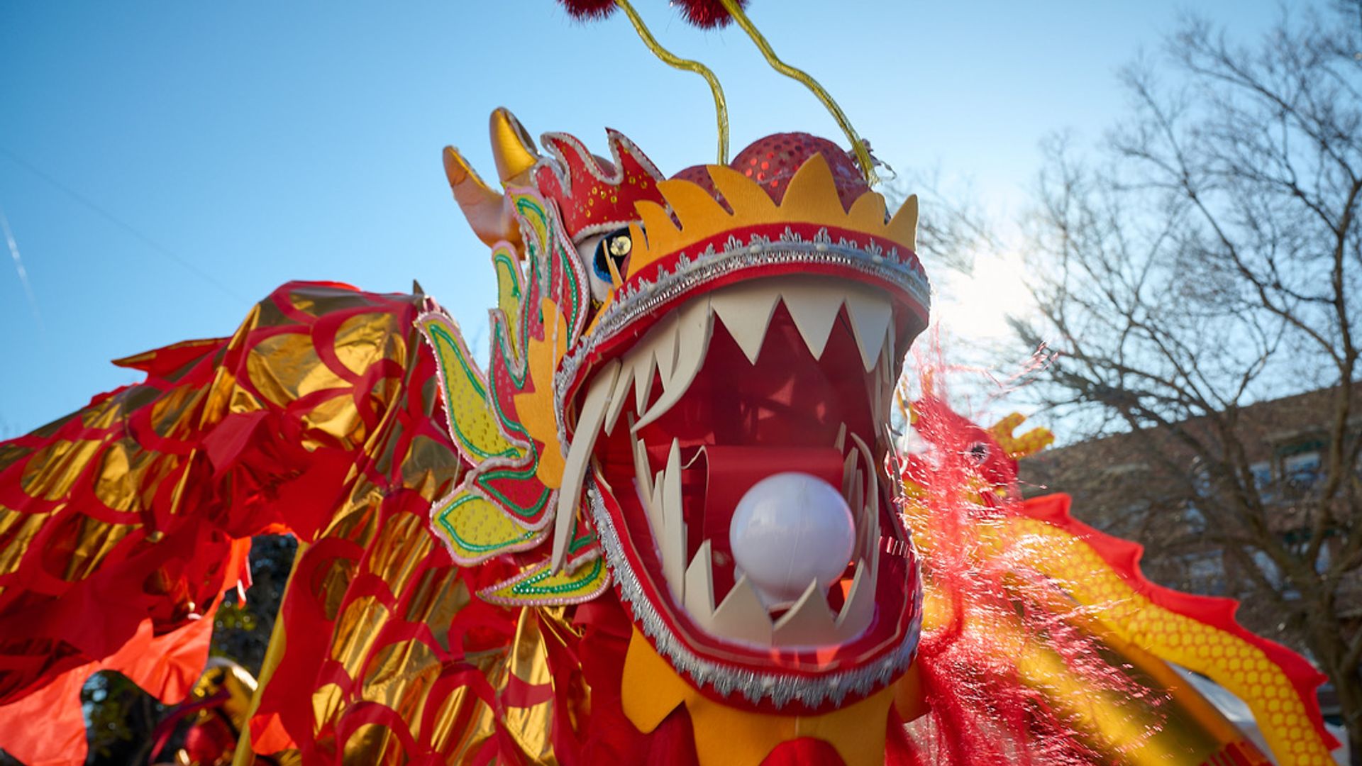 Llenamos tu fin de semana con los mejores planes: Año Nuevo Chino, mercadillos, teatro, mucho arte y un paseo entre aviones