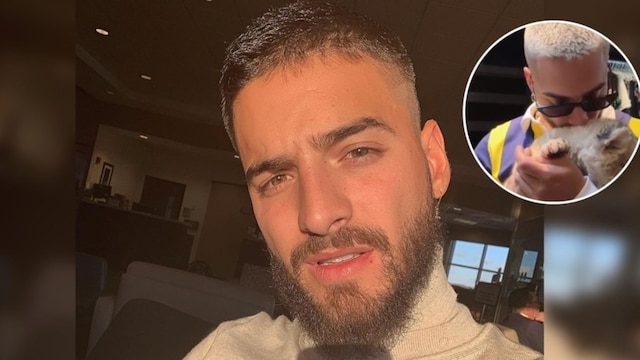 maluma leon 3