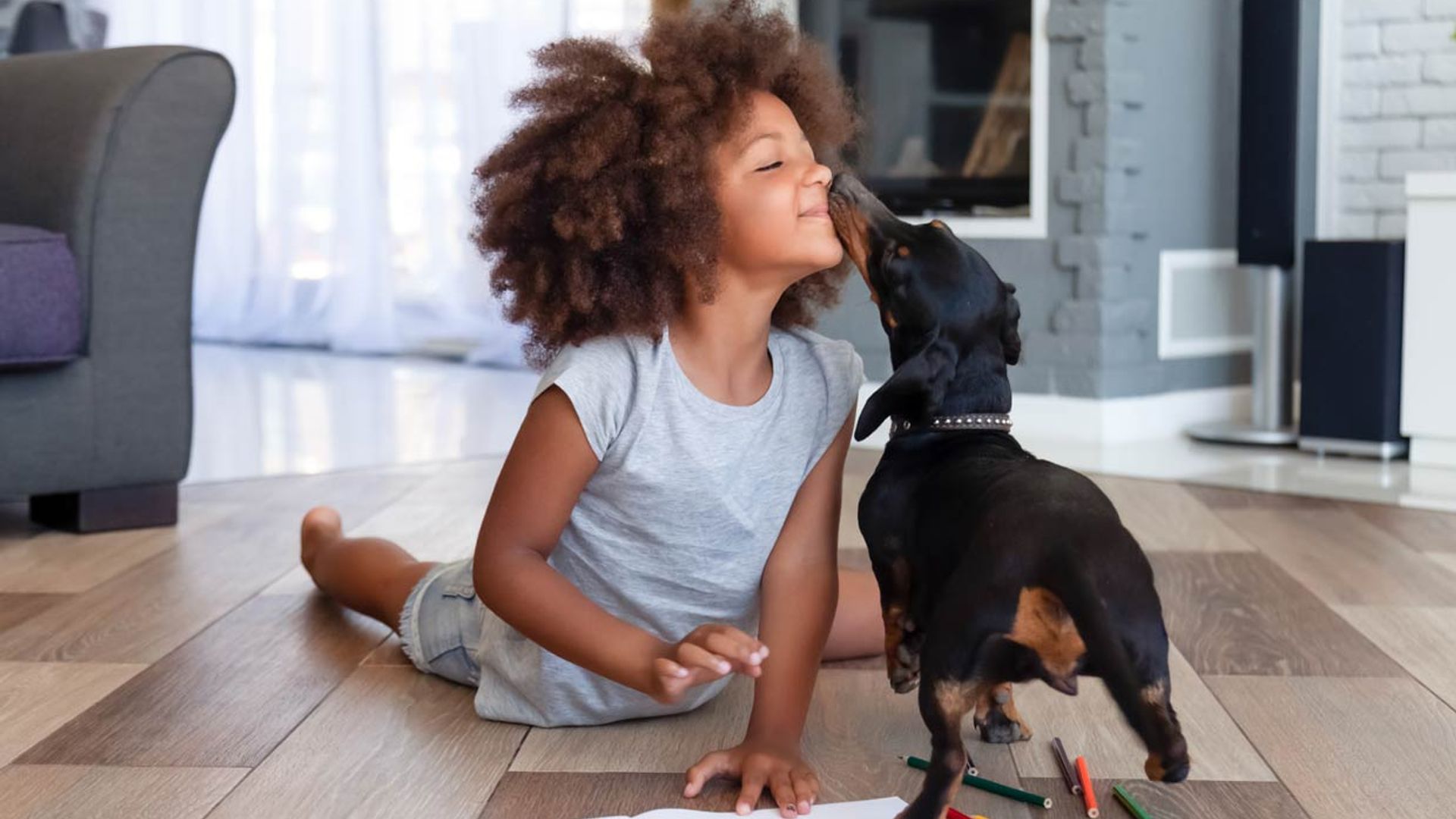 ¿Qué dice la nueva ley de mascotas sobre tener animales en pisos de alquiler?