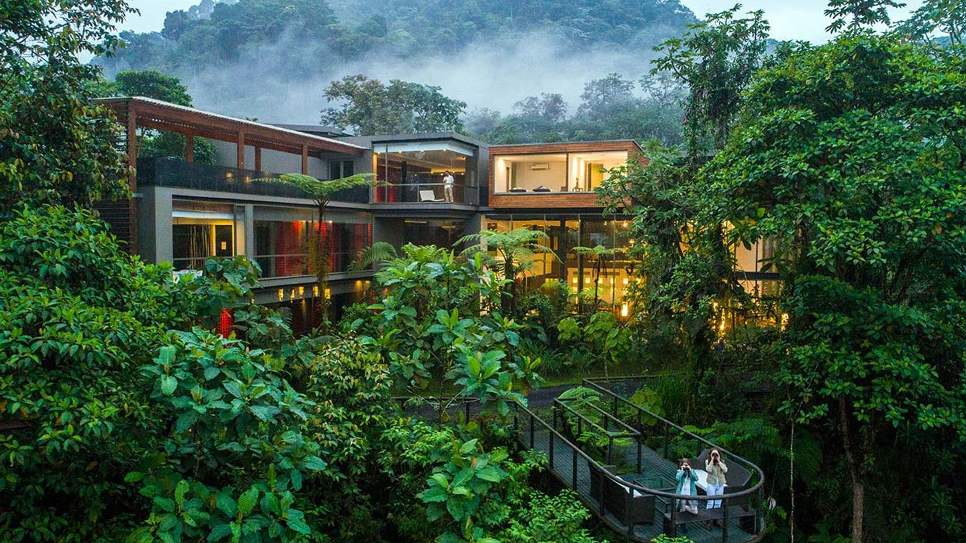 Un ecolodge sobre las nubes en un bosque tropical