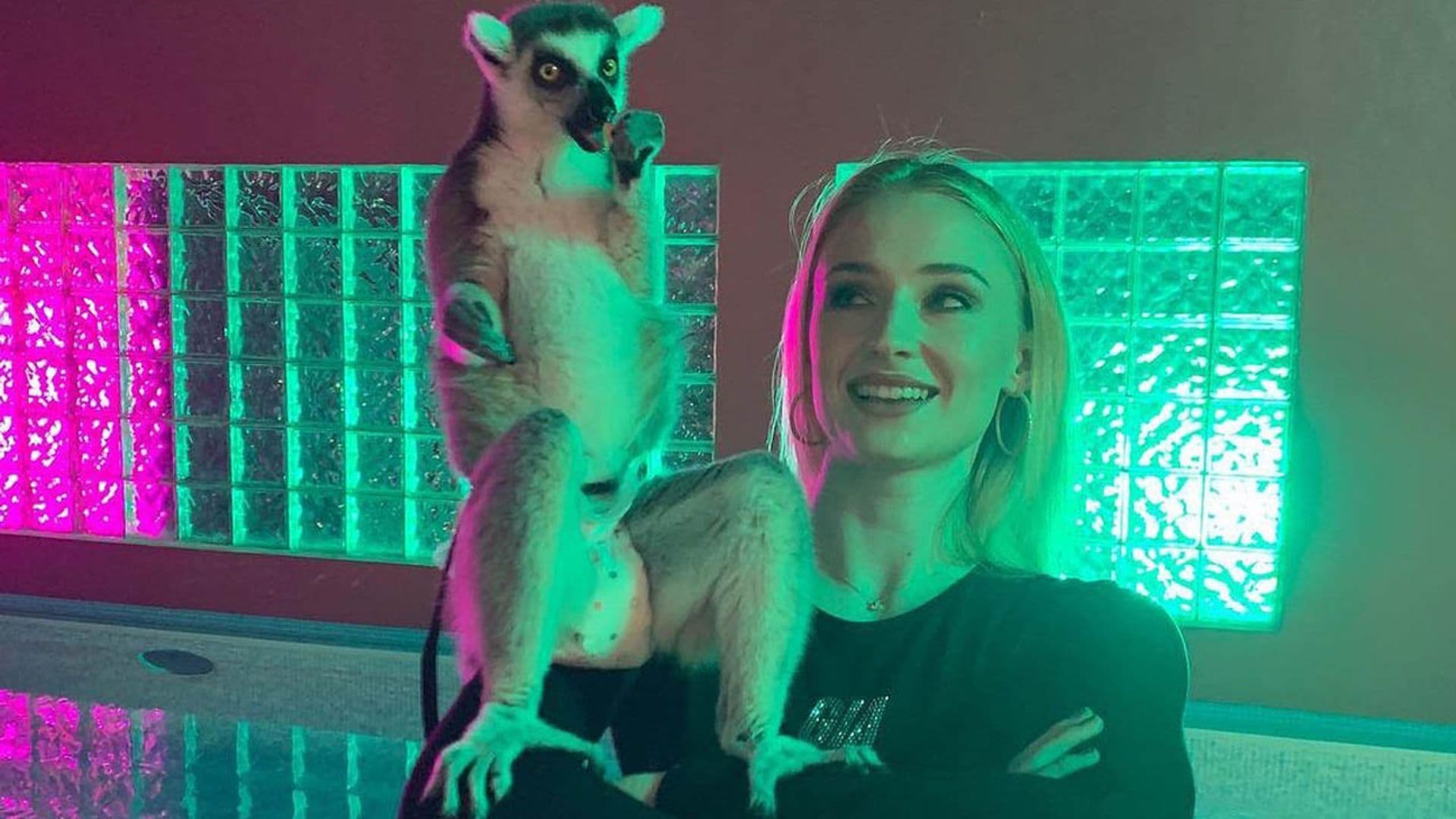El divertido álbum de fotos de Sophie Turner que te sacará una sonrisa
