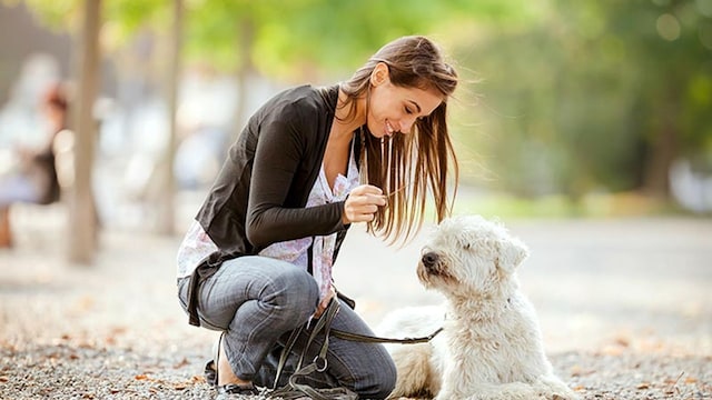 beneficios mascota en casa 1