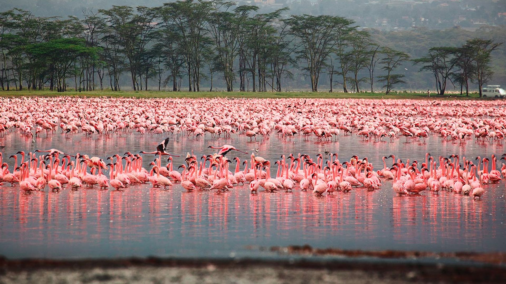 Maravillas naturales de África para, al menos, una vez en la vida