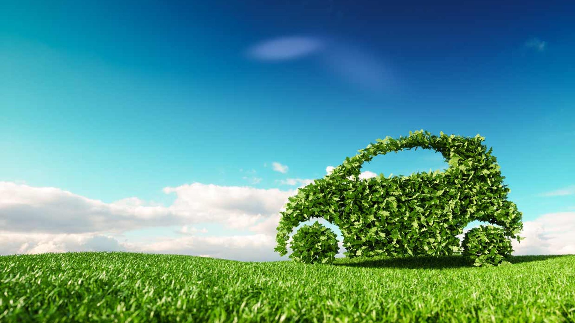 coches eco
