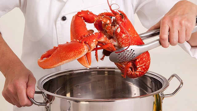 cocer bogavante
