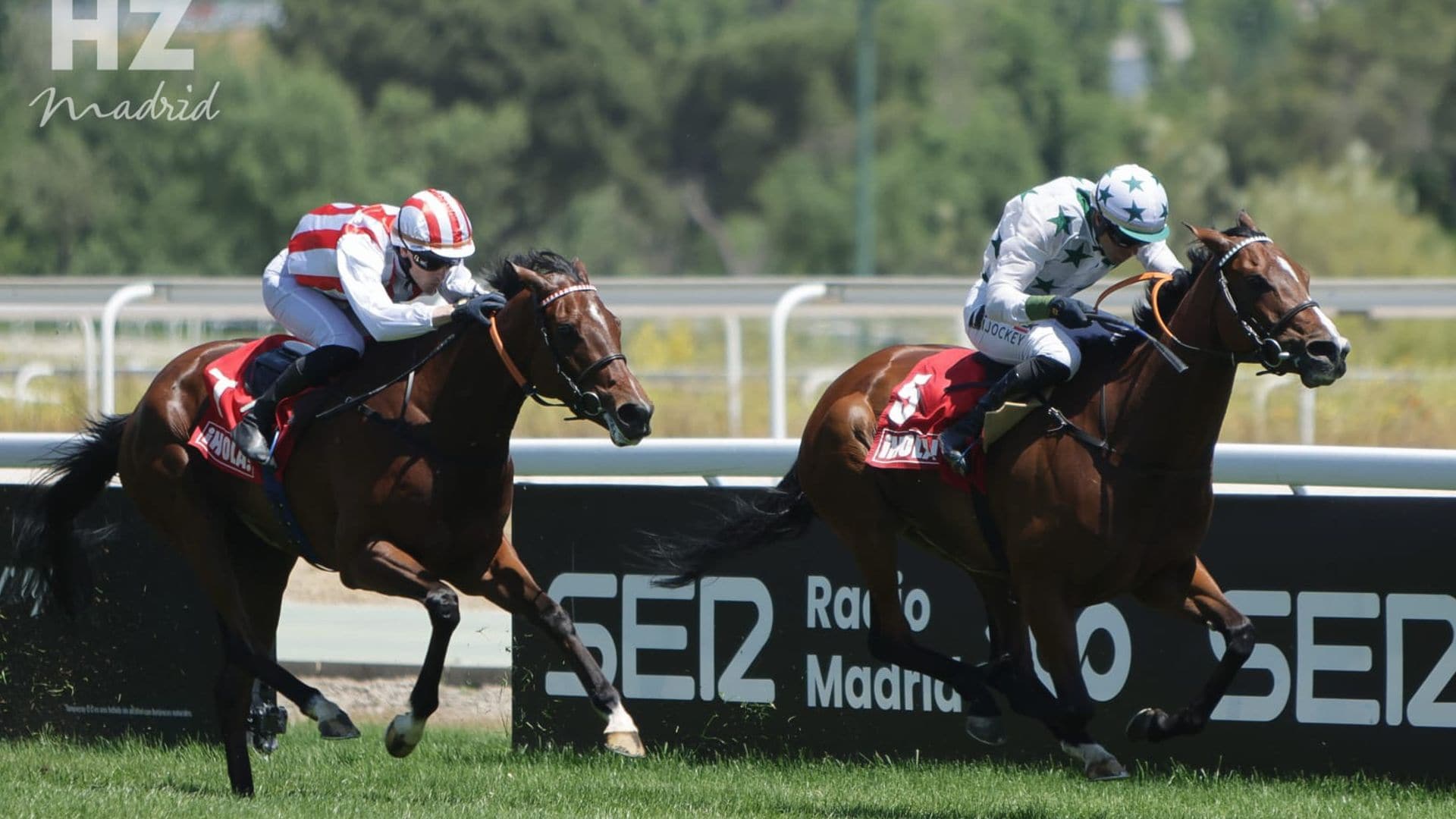 Tacarib Bay y Making Time reinan en una jornada de alto nivel en el Hipódromo de la Zarzuela