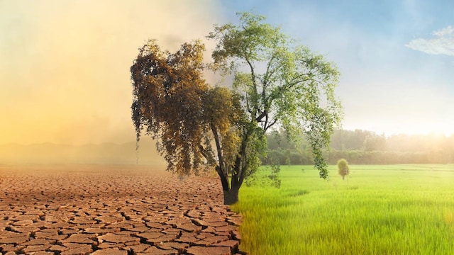 cambio climatico