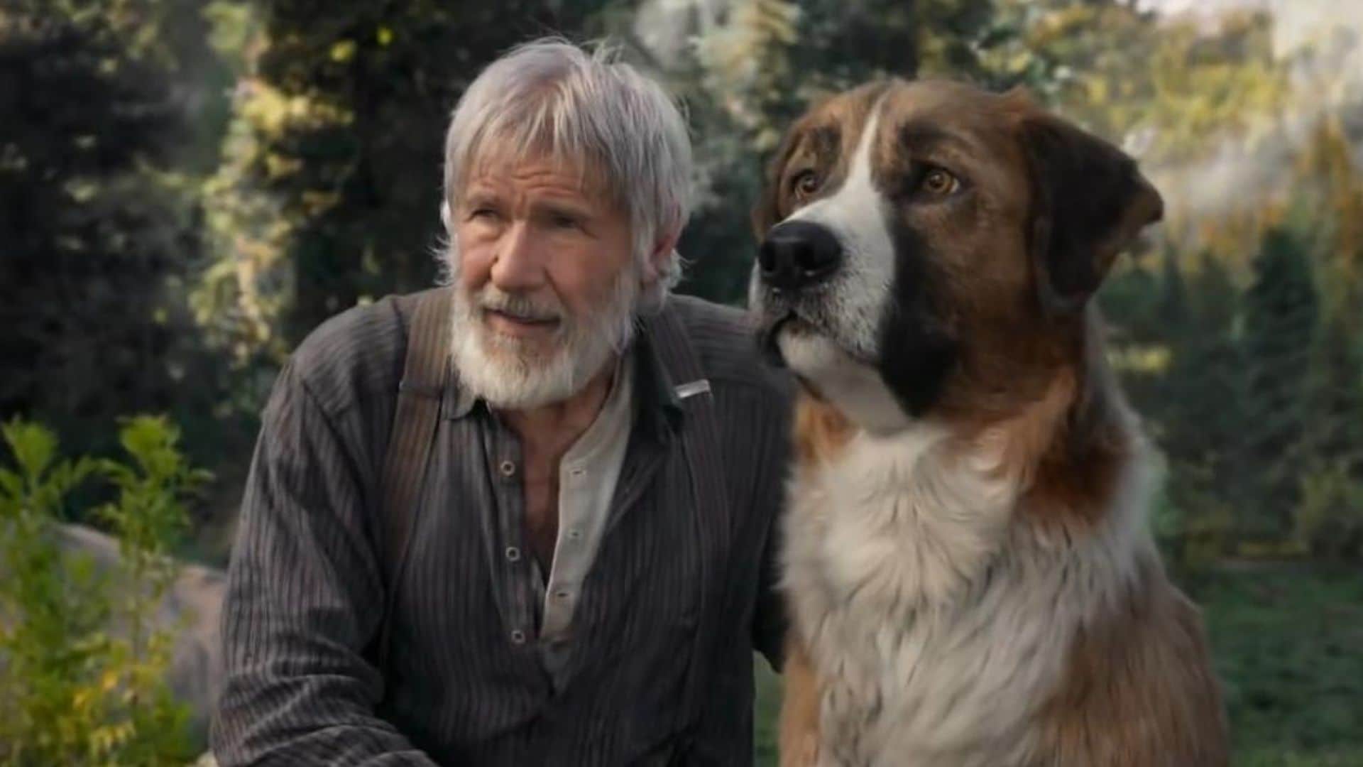 'Buckley', así es el perro que sirvió de inspiración a los creadores de 'La llamada de lo salvaje'
