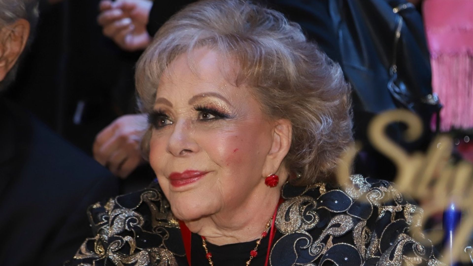 Las nuevas actualizaciones sobre la salud de Silvia Pinal