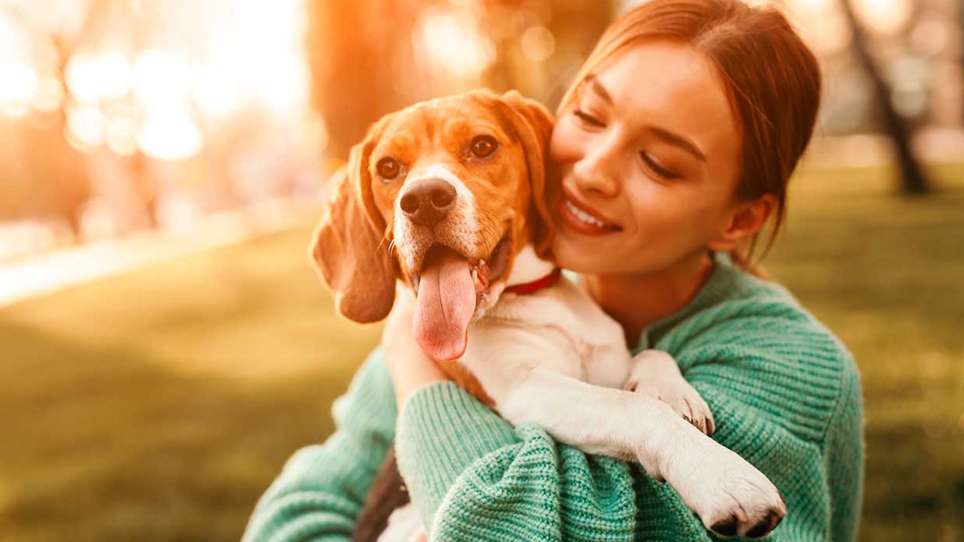 ¿Cuáles son las etapas más importantes en la vida de nuestro perro?