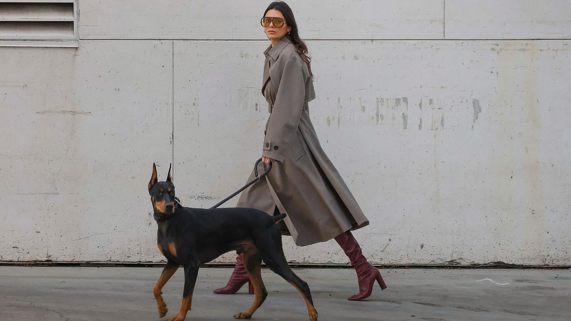 Descubrimos a la fiera de Kendall Jenner