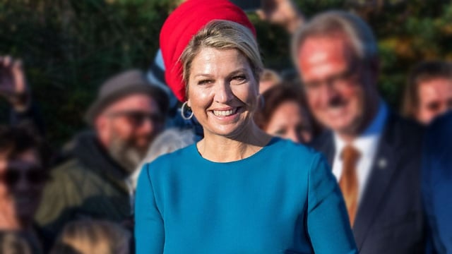 maxima falda
