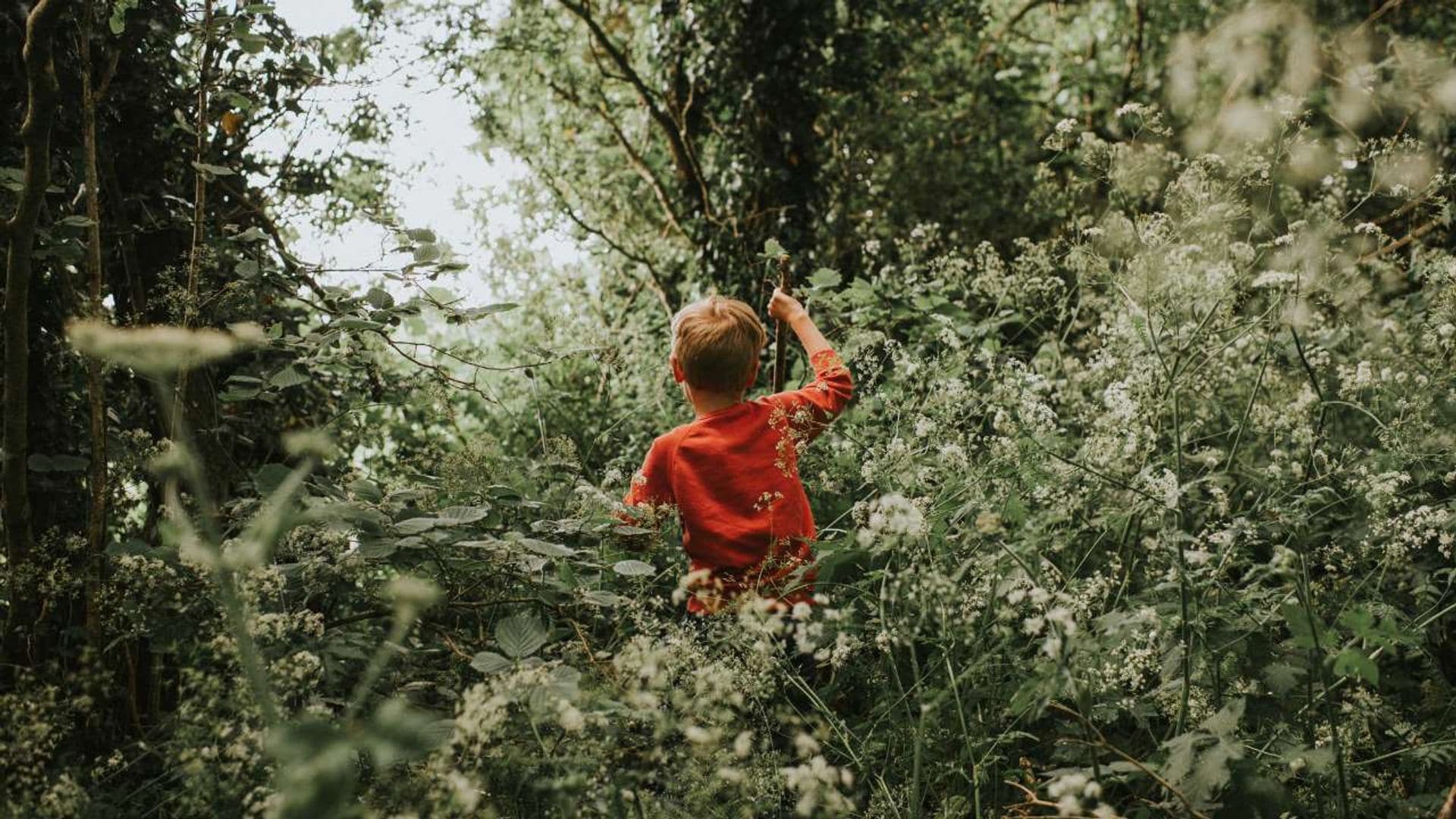 Esto es todo lo que necesitas para una escapada perfecta a la naturaleza